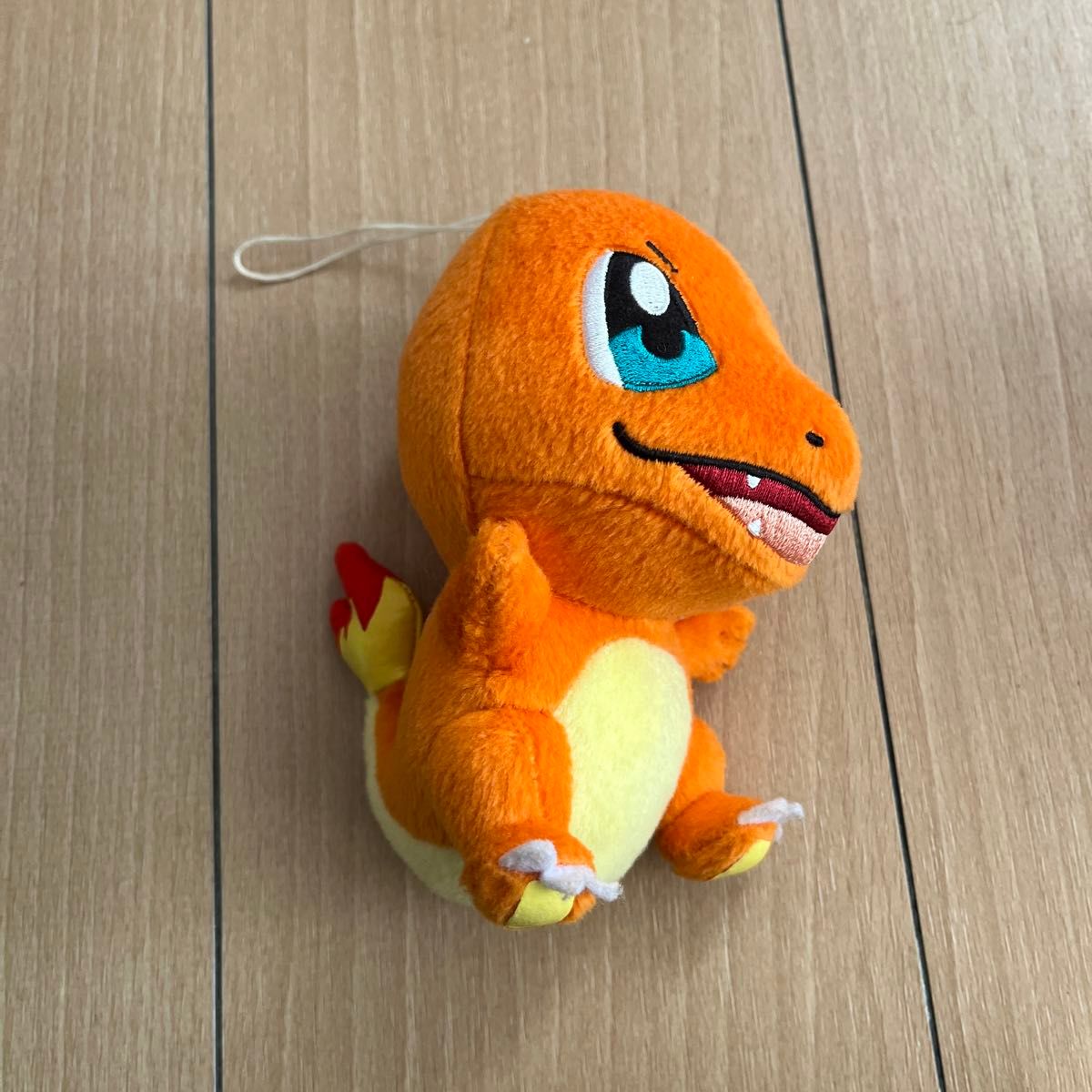 ポケモンぬいぐるみまとめ売りフシギダネ&ヒトカゲ&ニョロボン&ピカチュウメス