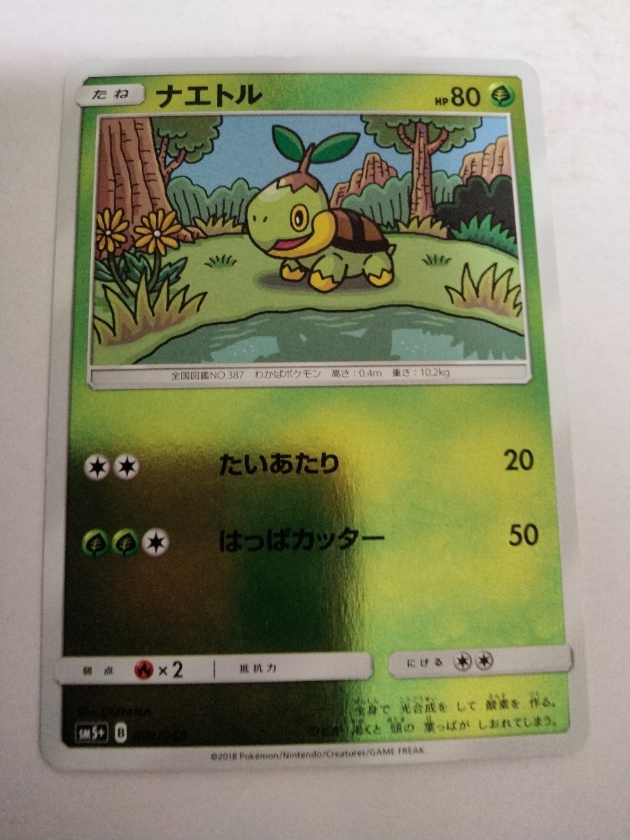 ポケモンカード ナエトル SM5+ 001/050 ミラー_画像1