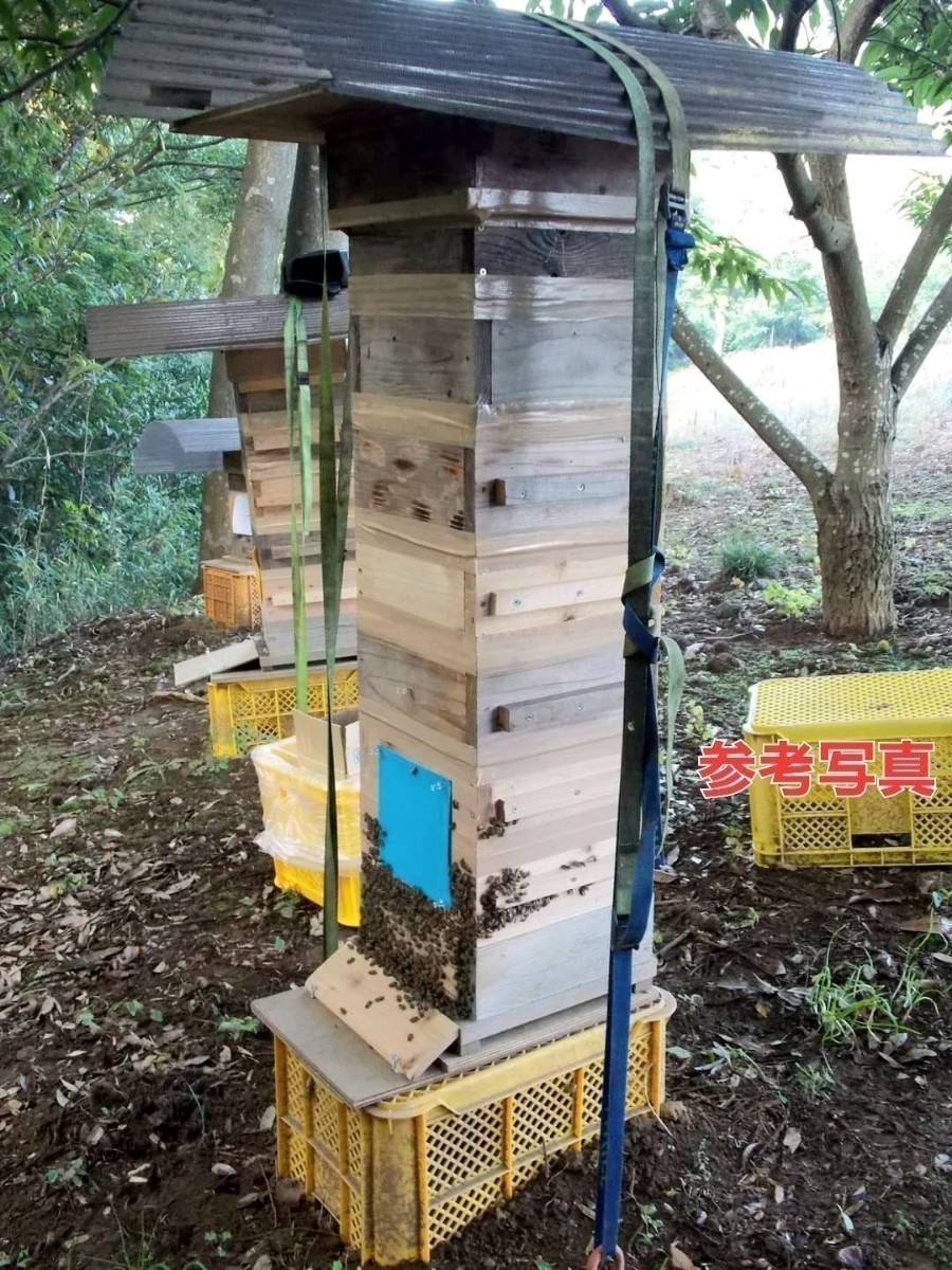 【花紋養蜂場】日本蜜蜂巣箱(重箱式)　継箱のみ2段_画像6