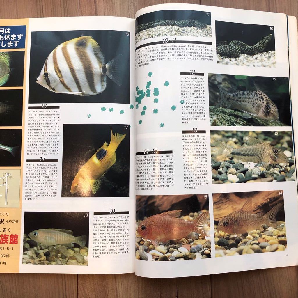  aqua life No.53(1983 year 12 month )