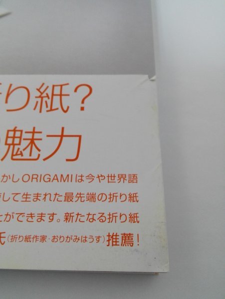 【初版】立体折り紙アート 数理がおりなす美しさの秘密 三谷純/日本評論社【即決・送料込】_画像2