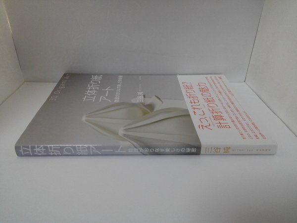 【初版】立体折り紙アート 数理がおりなす美しさの秘密 三谷純/日本評論社【即決・送料込】_画像3