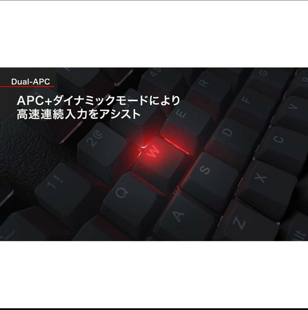 【新品未開封】REALFORCE GX1 キーボード 45g 日本語配列 テンキーレス ブラック USB 静音 二色成型