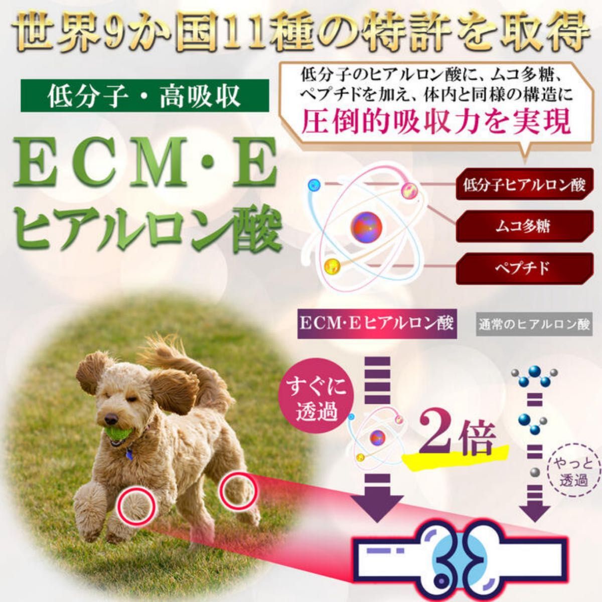 【世界9か国 特許取得 ECME】Wan Royal ワンロイヤル 関節 犬 サプリ 犬 関節 皮膚 毛並み 骨 グルコサミン