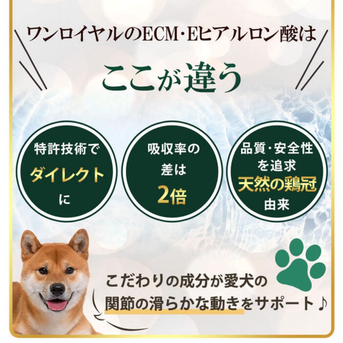 【世界9か国 特許取得 ECME】Wan Royal ワンロイヤル 関節 犬 サプリ 犬 関節 皮膚 毛並み 骨 グルコサミン