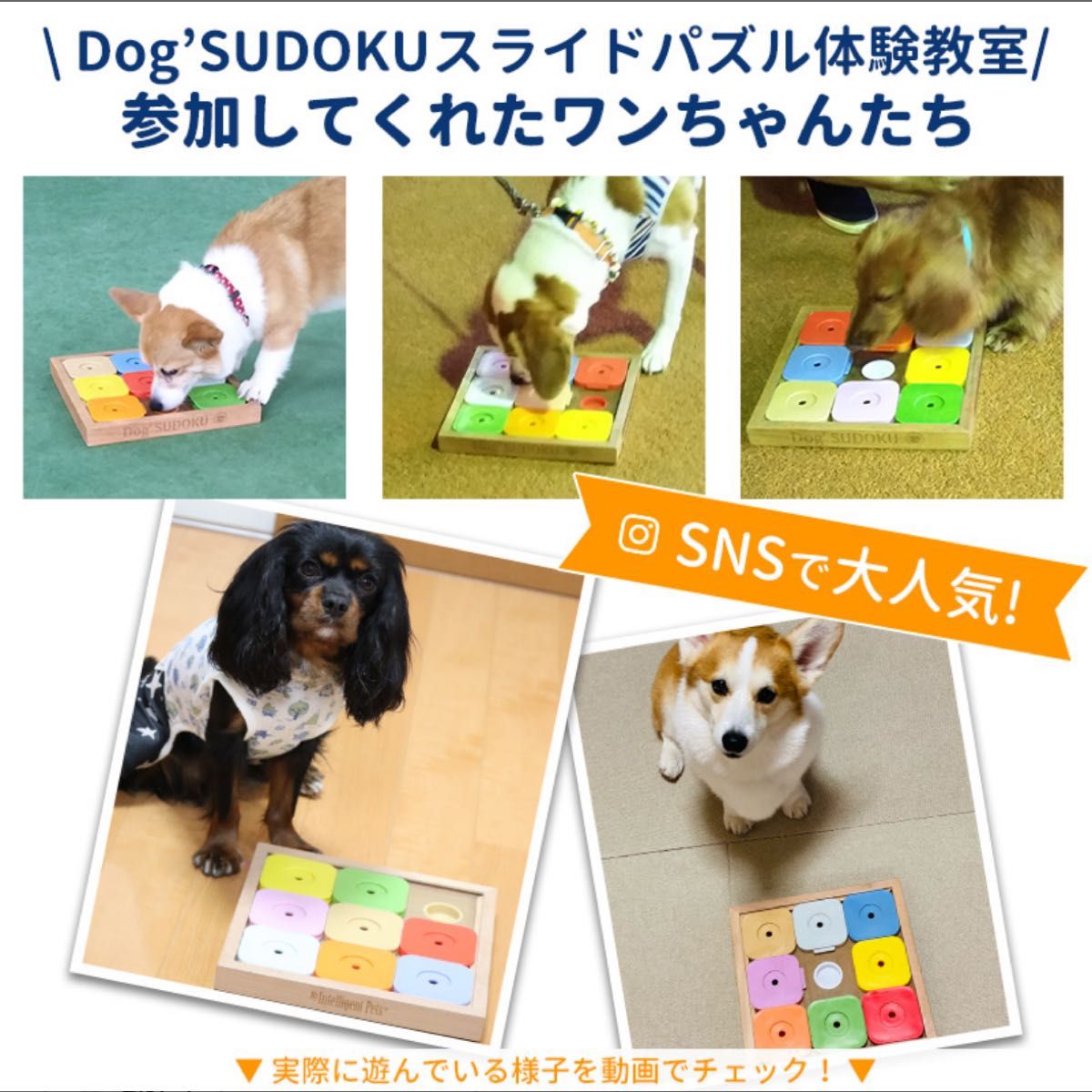 スライドパズル エキスパート ペット おもちゃ 木製 犬用 知育玩具 知育トイ 犬 ノーズワーク 訓練 しつけ 早食い防止 犬用品
