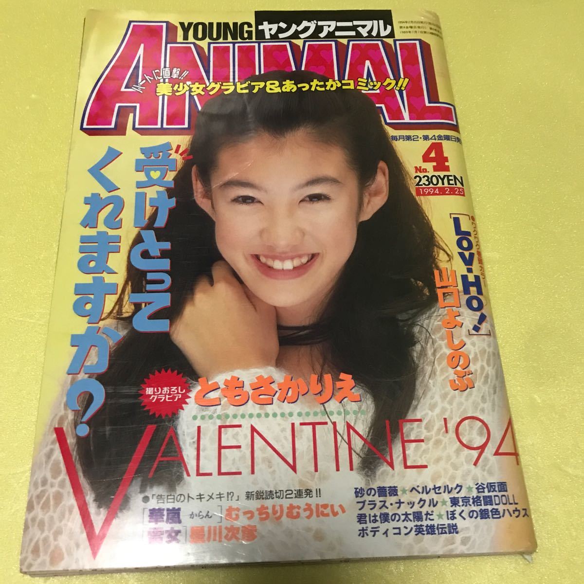 【中古青年漫画雑誌】ヤングアニマル（1994.2.25）撮りおろしグラビア　ともさかりえ、三浦建太郎、大橋薫、あさりよしとお　ほか_画像1