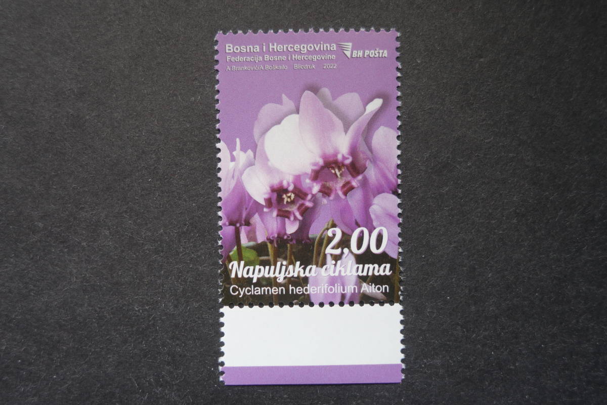 外国切手：ボスニアヘルツェゴビナ切手 「シクラメン・ヘデリフォリウム」1種完 未使用_画像1