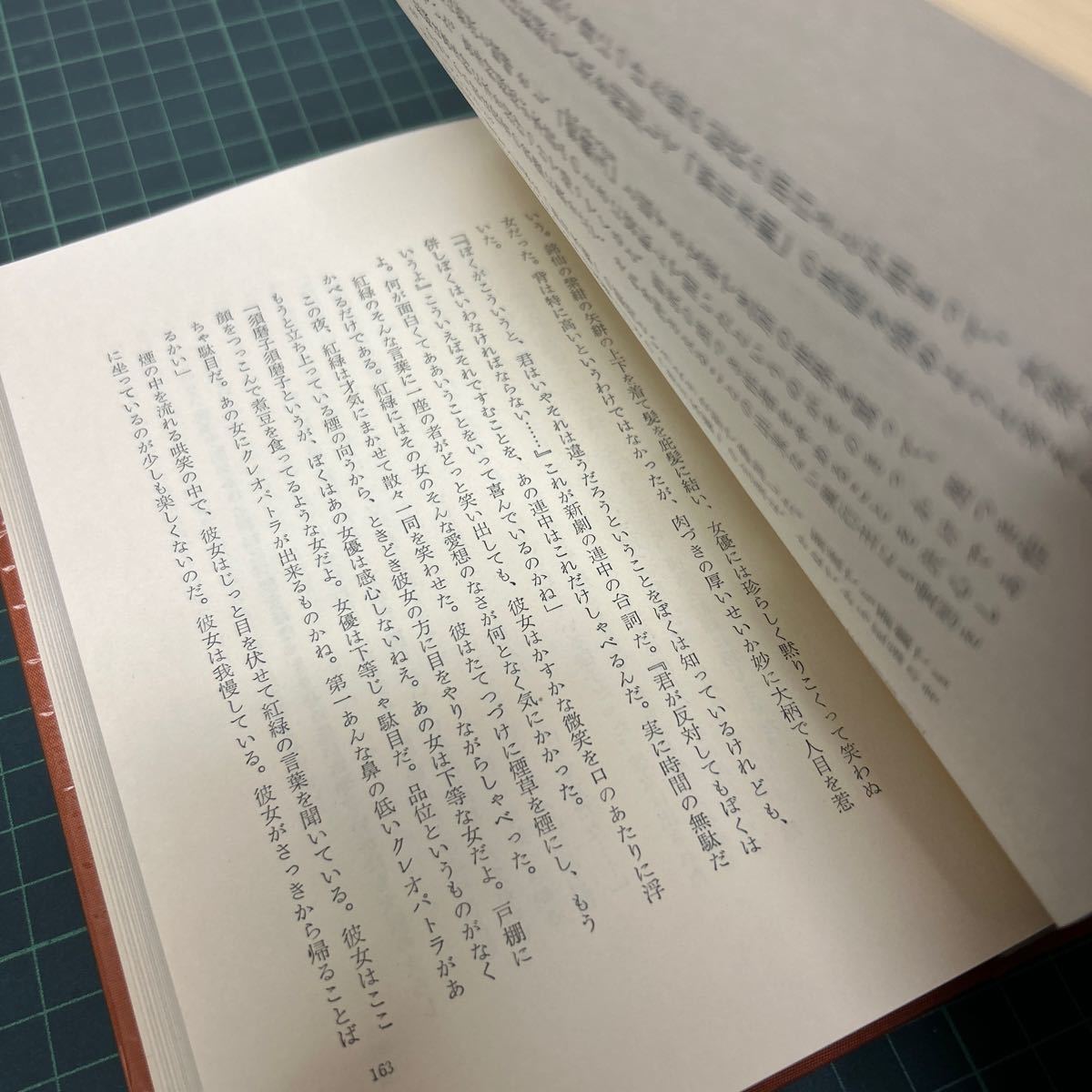 花はくれない 小説 佐藤紅緑 佐藤愛子（著） 小説43年 講談社 函 単行本_画像7