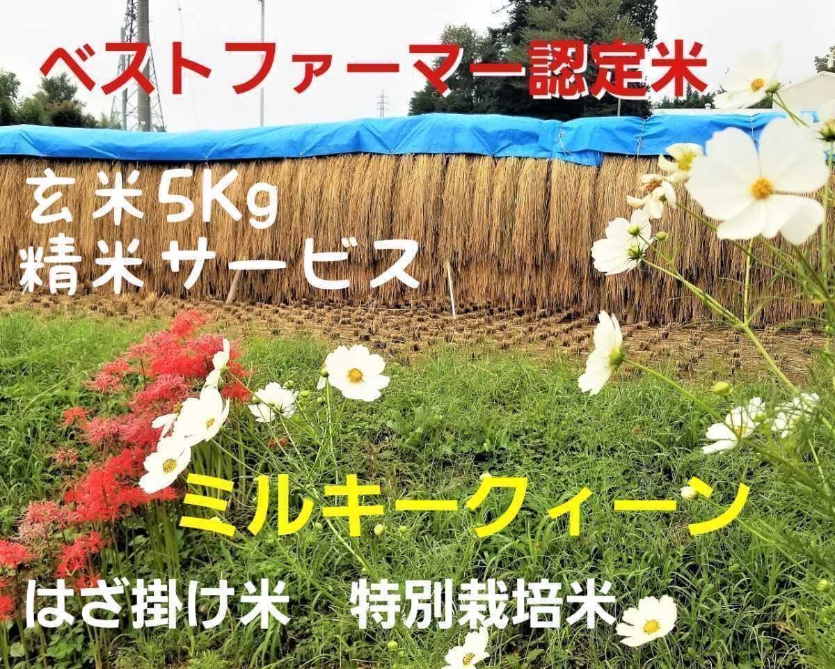 令和5年南信州産　はざ掛け米　特別栽培米【ミルキークイーン】玄米5Ｋg（精米サービス）_画像1