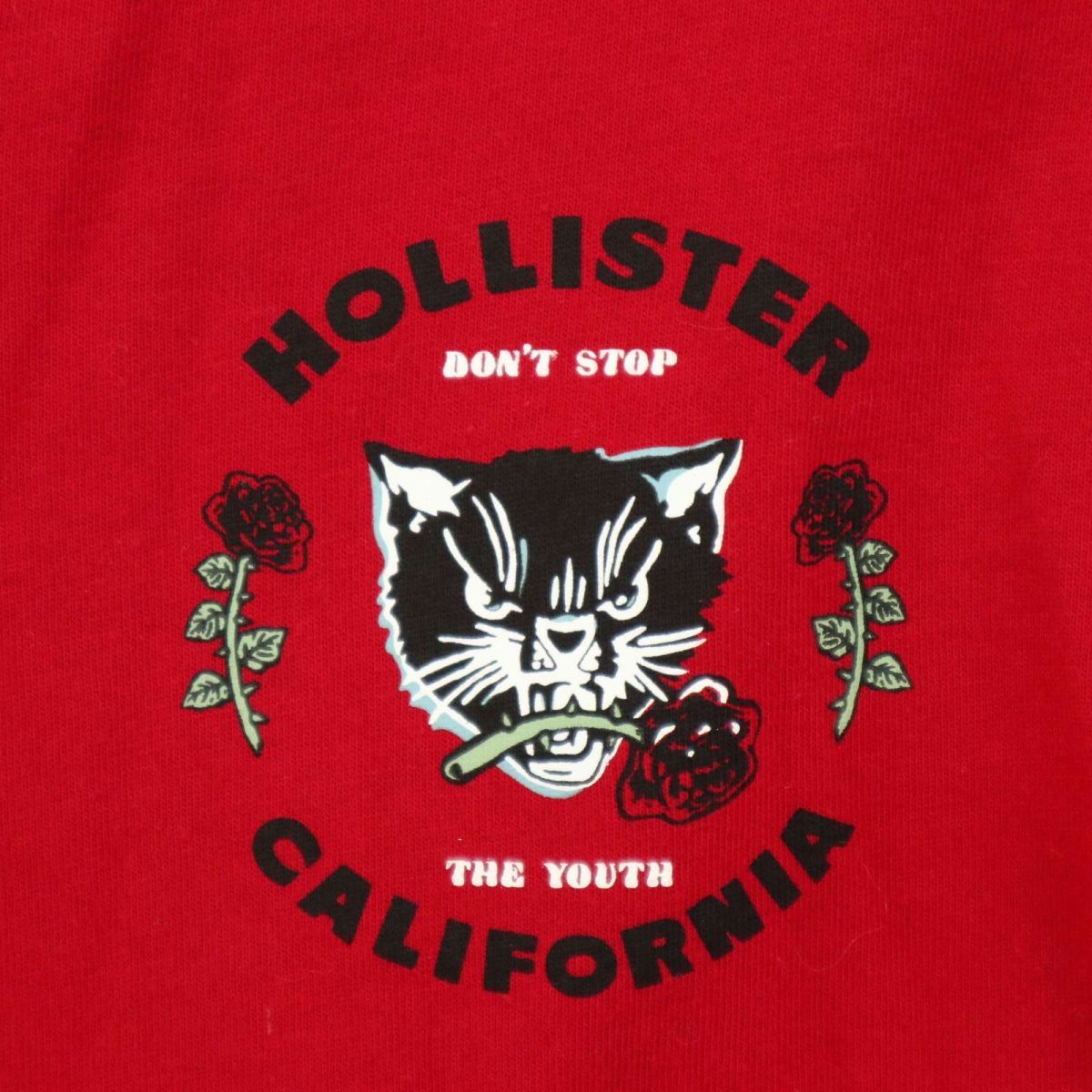 HOLLISTER ホリスター 通年 ねこ キャット プリント★ 長袖 カットソー ロンTシャツ Sz.XL　メンズ 大きいサイズ　A4T00183_1#F_画像3