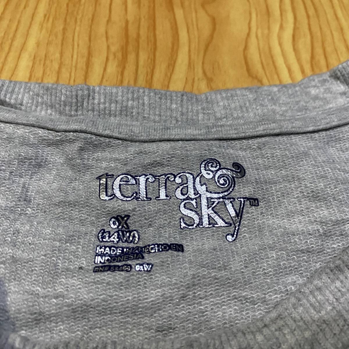 即決・輸入古着・terra&skyの無地スウェット・ビッグシルエット・サイドスリット・杢グレー・USA/０X・14W(XXL)_画像5