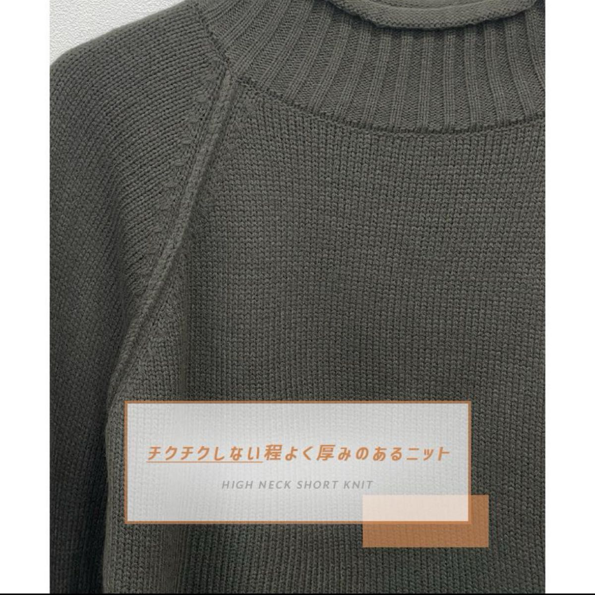 【新品、未使用】可愛い♪ハイネックショート丈ニット　（ライトベージュ）韓国　 ニット セーター select トップス 長袖