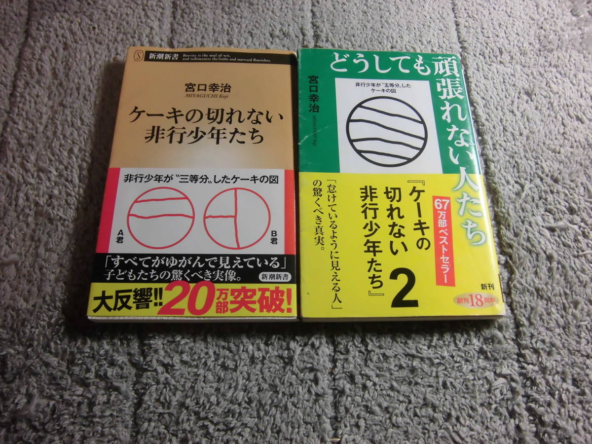 宮口幸治 ２冊「ケーキの切れない非行少年たち」「どうしても頑張れない人たち　ケーキの切れない非行少年たち2」送料185円Ω_画像1