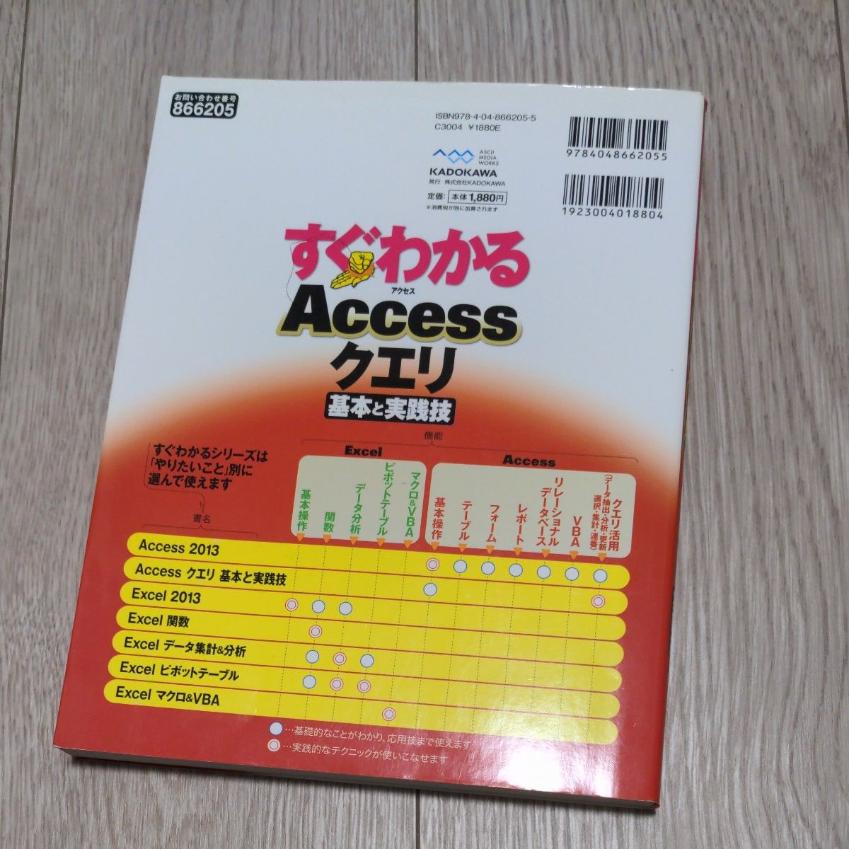 すぐわかるＡｃｃｅｓｓクエリ基本と実践技　Ａｃｃｅｓｓ２０１３／２０１０／２００７ （すぐわかる） 神田知宏／著