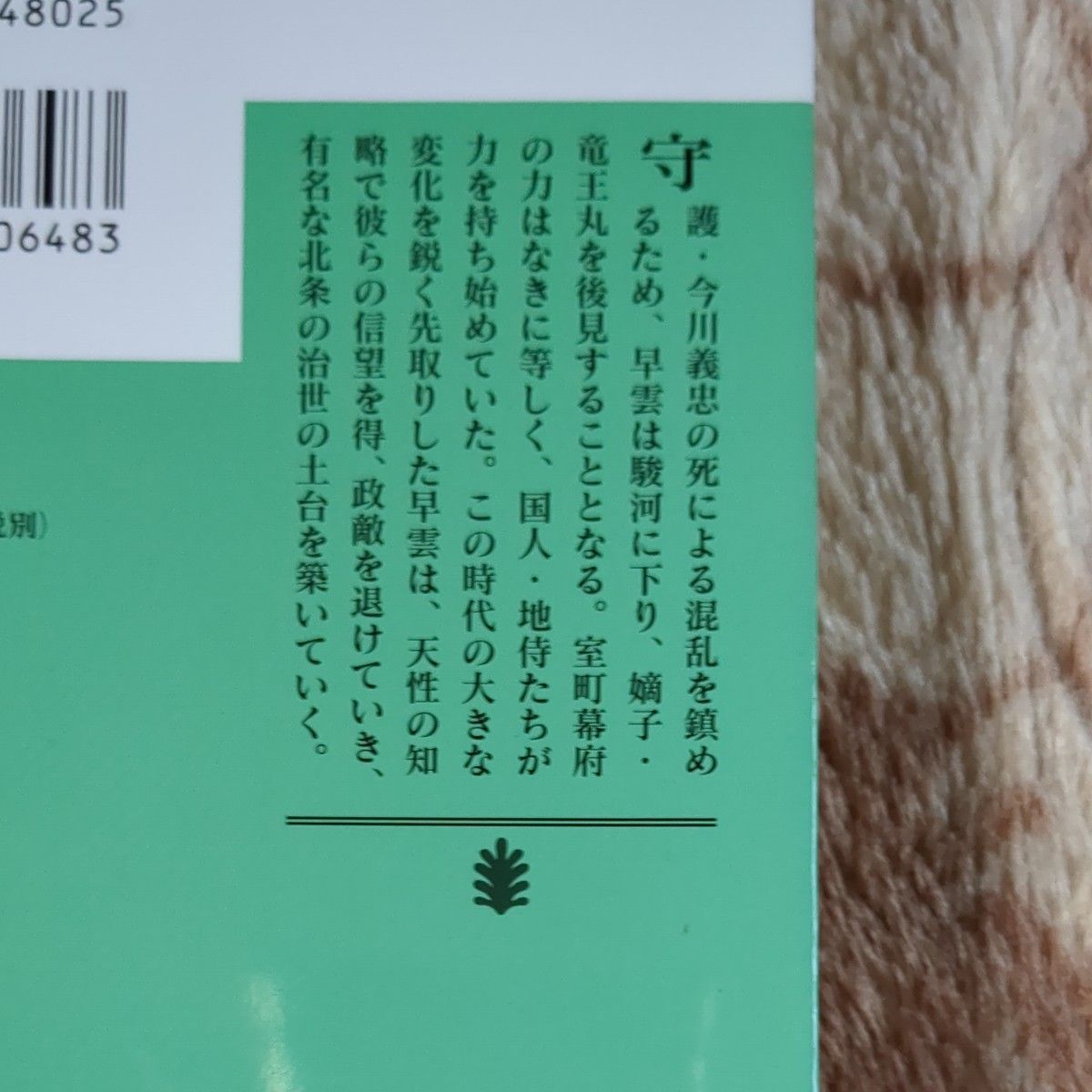 箱根の坂　中　新装版 （講談社文庫） 司馬遼太郎／〔著〕