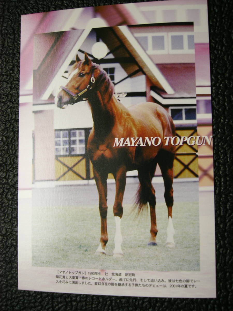 【最終出品】名馬ポストカード ナリタブライアン・マヤノトップガン・トウカイテイオー・メジロマックイーン・オグリキャップ 絵葉書の画像4