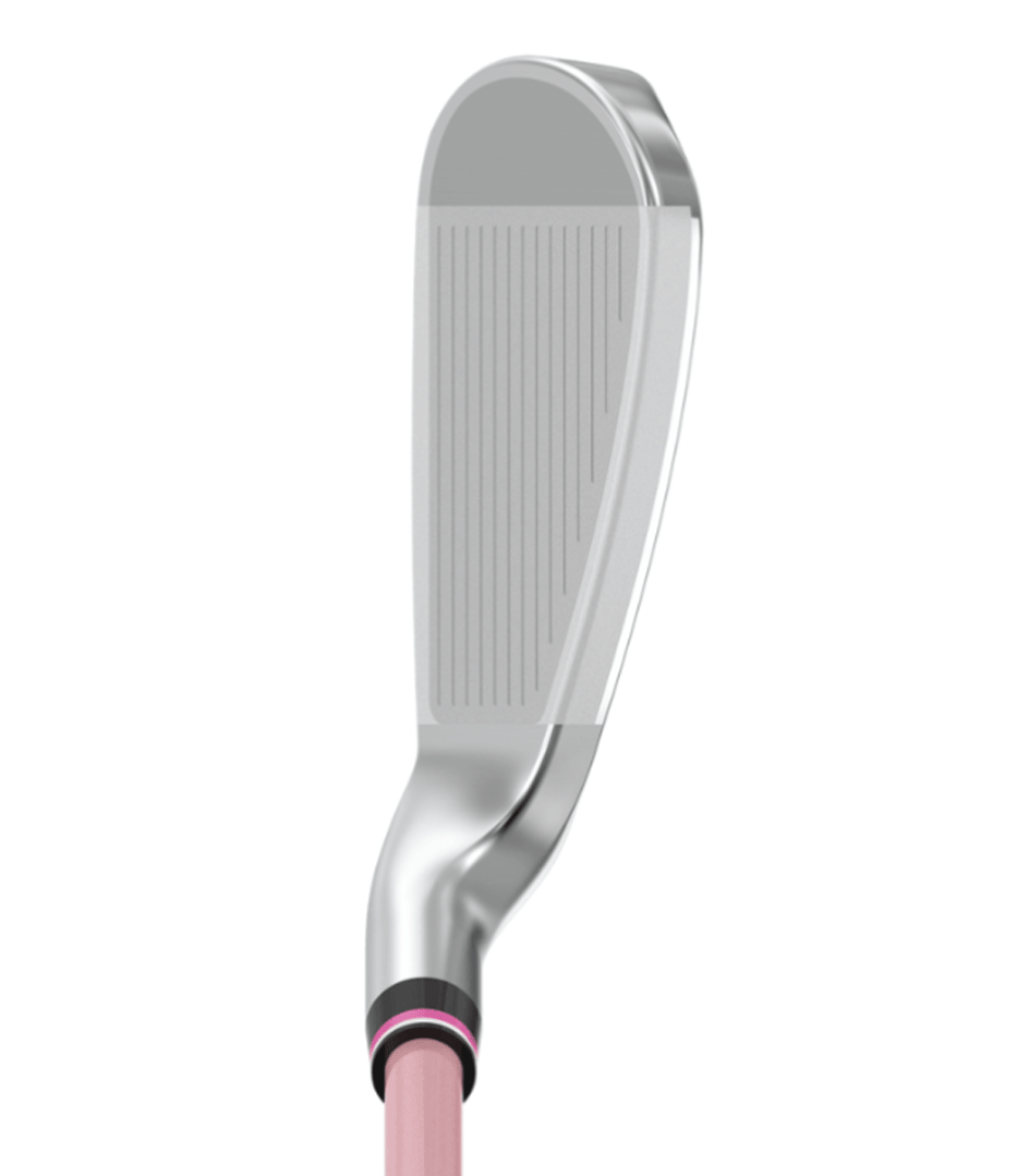 ス20☆超豪華8本 ゼクシオレディースアイアンセット XXIO MP200L ス20☆超豪華8本 ゼクシオレディースアイアンセット XXIO MP200L