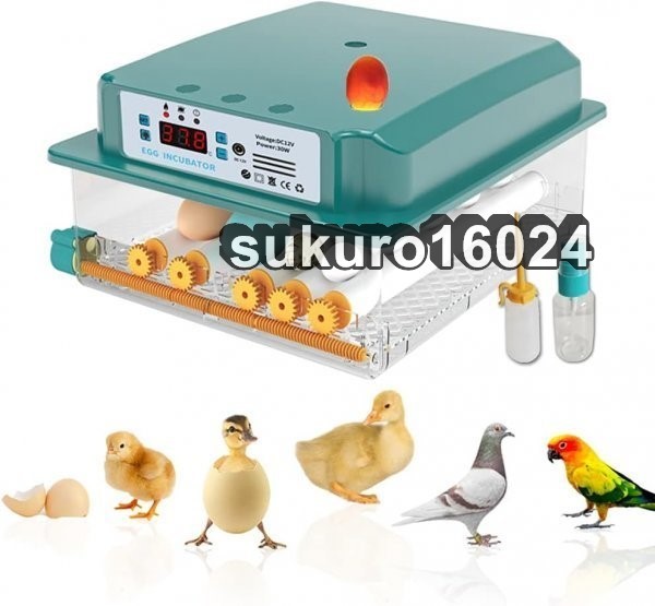  automatic . egg vessel in kyu Beta -. temperature vessel birds exclusive use . egg vessel .. vessel automatic rotation egg type a Hill chicken egg a Hill .... temperature .. vessel full automation 6-16 piece. egg 