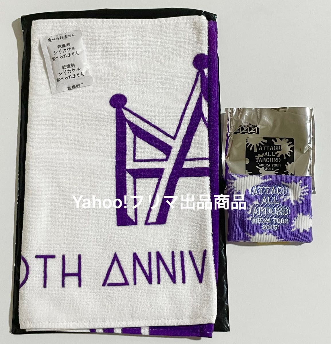 AAA 10th Anniversary 10周年 代々木 リストバンド フェイスタオル