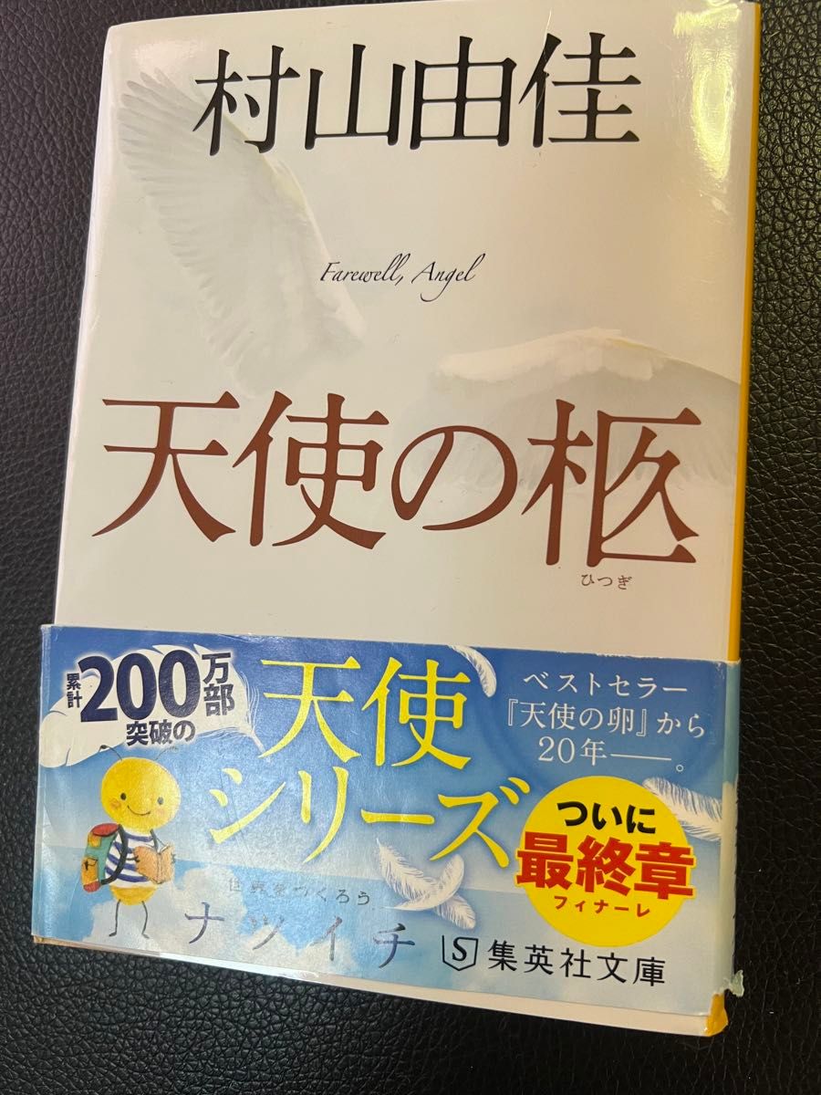 村山由佳 3冊セット   天使の柩  放蕩記   翼   集英社文庫     バラ売り不可    お値下げご遠慮下さい