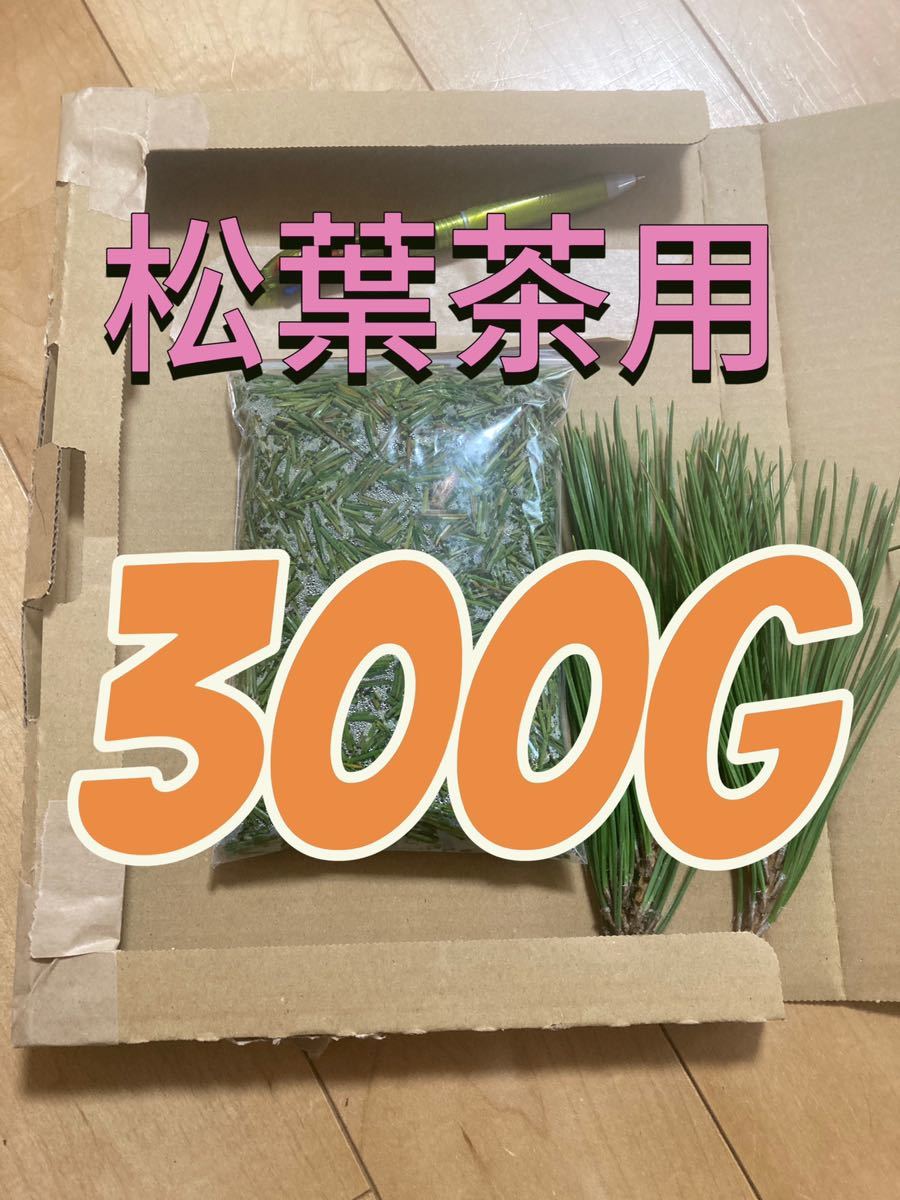  pine leaf tea 300g immediately buy possible same day shipping morning taking pesticide : cultivation period middle un- use 