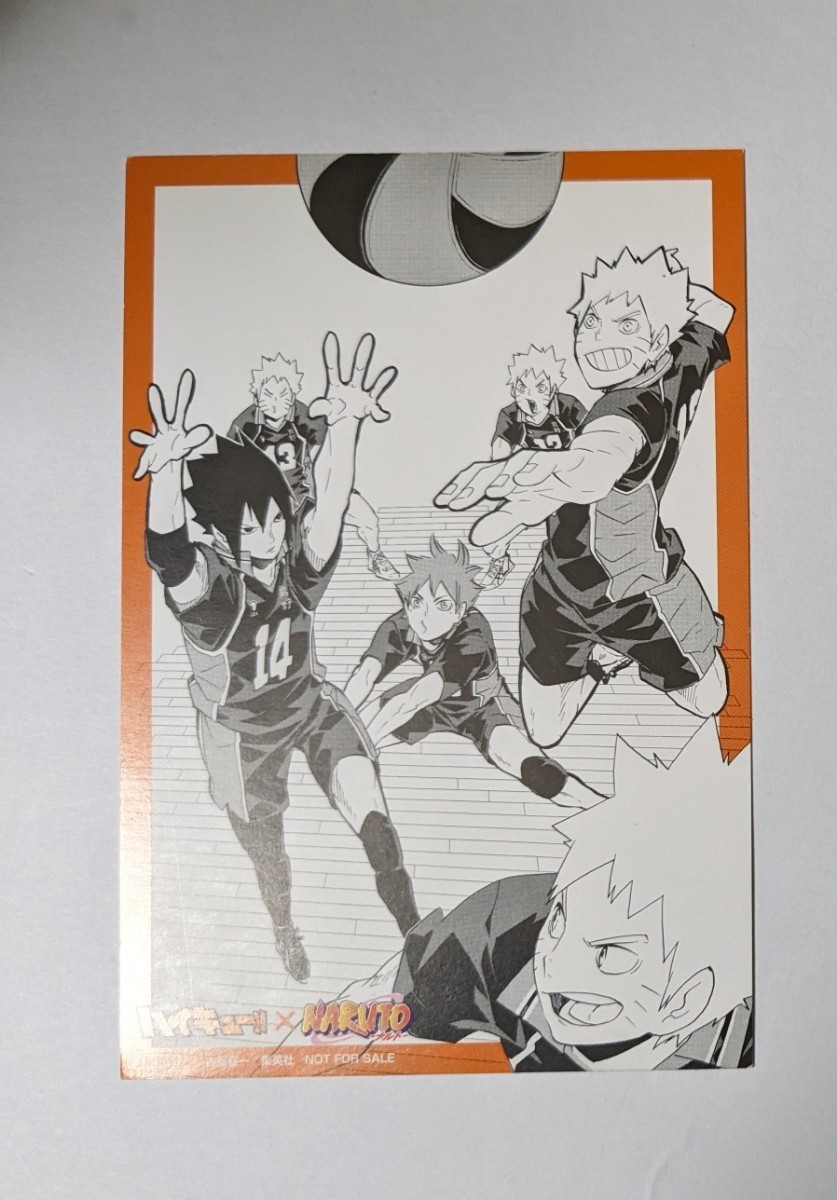 同梱可 NARUTO ハイキュー ジャンプアニメスペシャルフェスタ 2014 ジャンプフェスタ ジャンフェス ポストカード ハイキュー！！_画像1