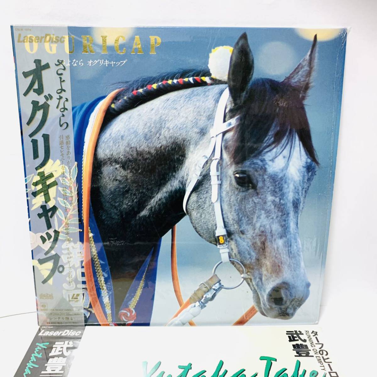 【2枚セット】さよならオグリキャップ　ターフのヒーロー5 武豊　競馬　レーザーディスク　LD　60112wt_画像2