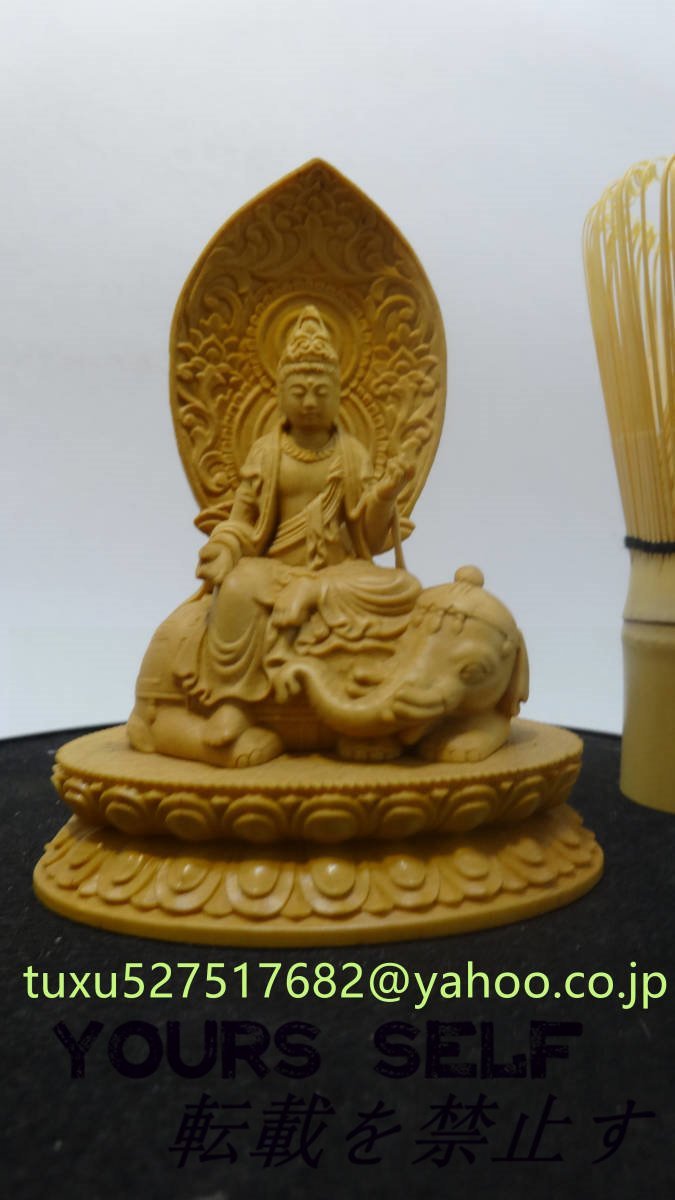 普賢菩薩 普賢菩薩像 普賢 坐像 彫刻 木彫 仏像　仏教美術　彫像_画像4