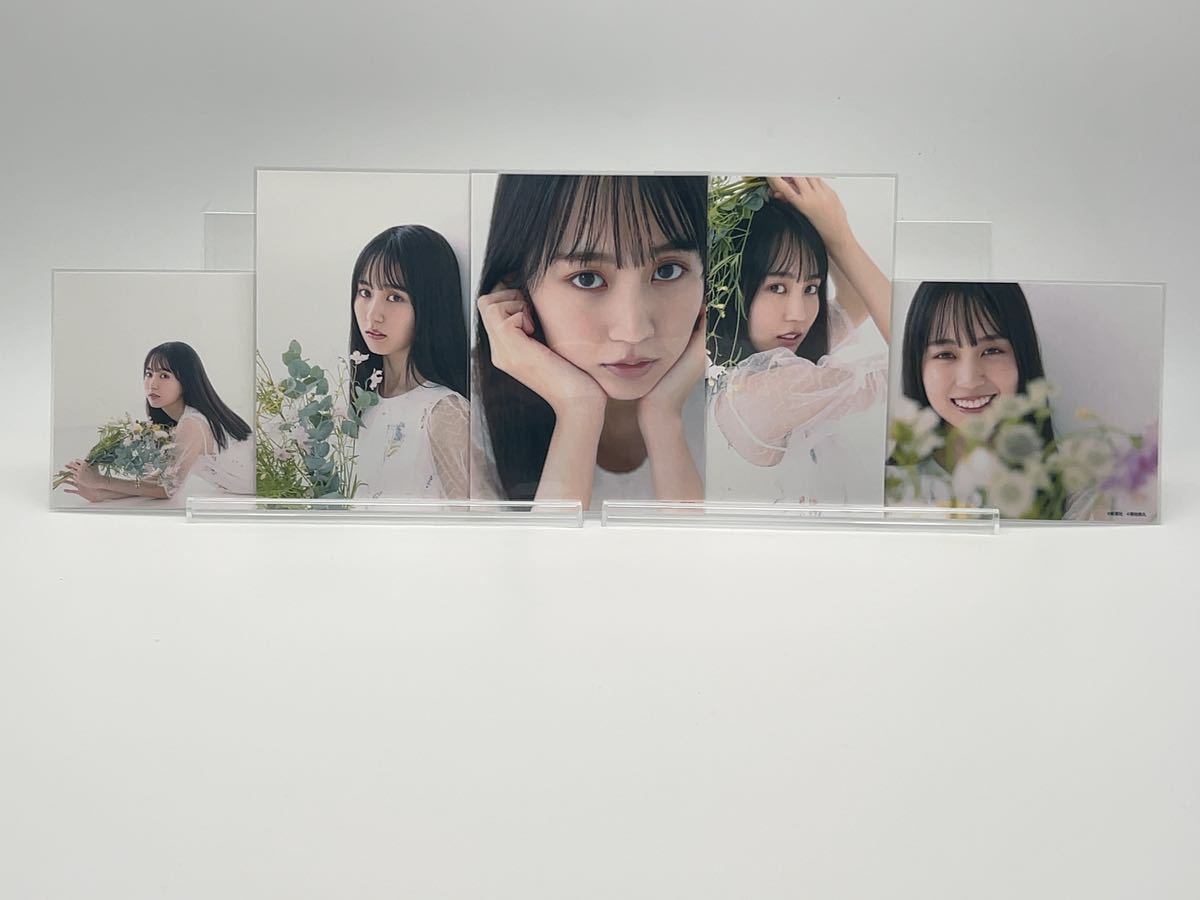  Nogizaka 46.... photoalbum ....... rin sale memory photograph of a star all 20 kind full comp 