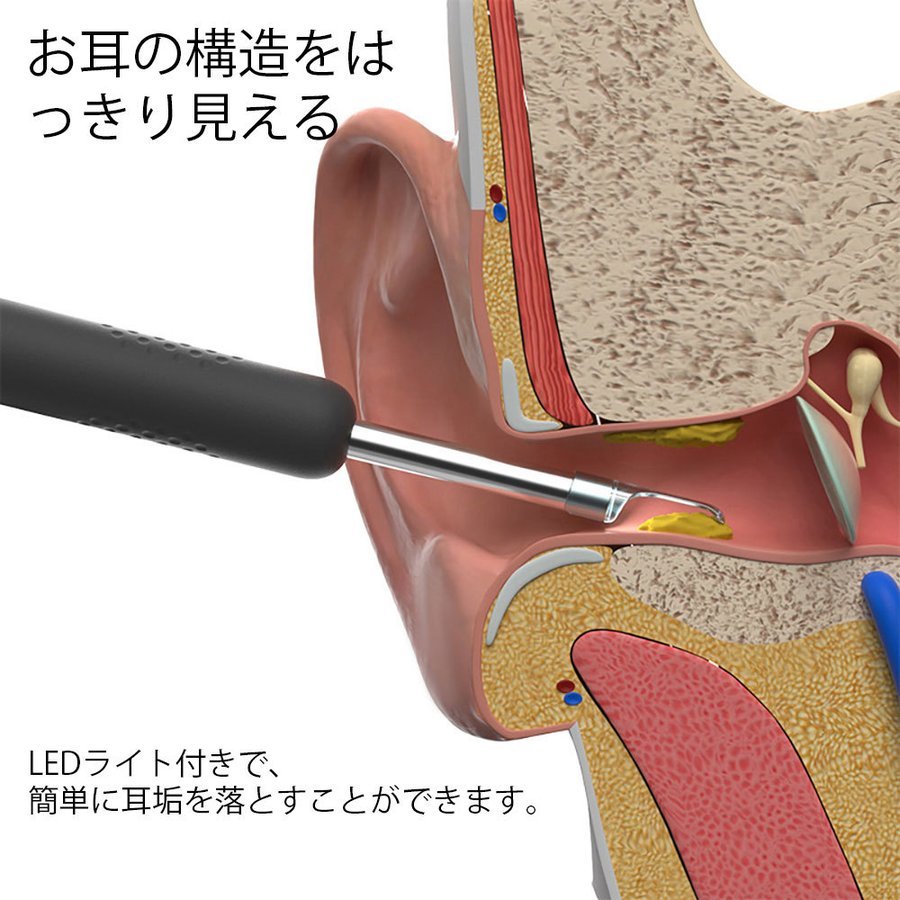 耳かき カメラ BEBIRD R1 みみかき 耳掃除 イヤースコープ 1080PHD IP67防水 耳かきカメラ付き 300万画