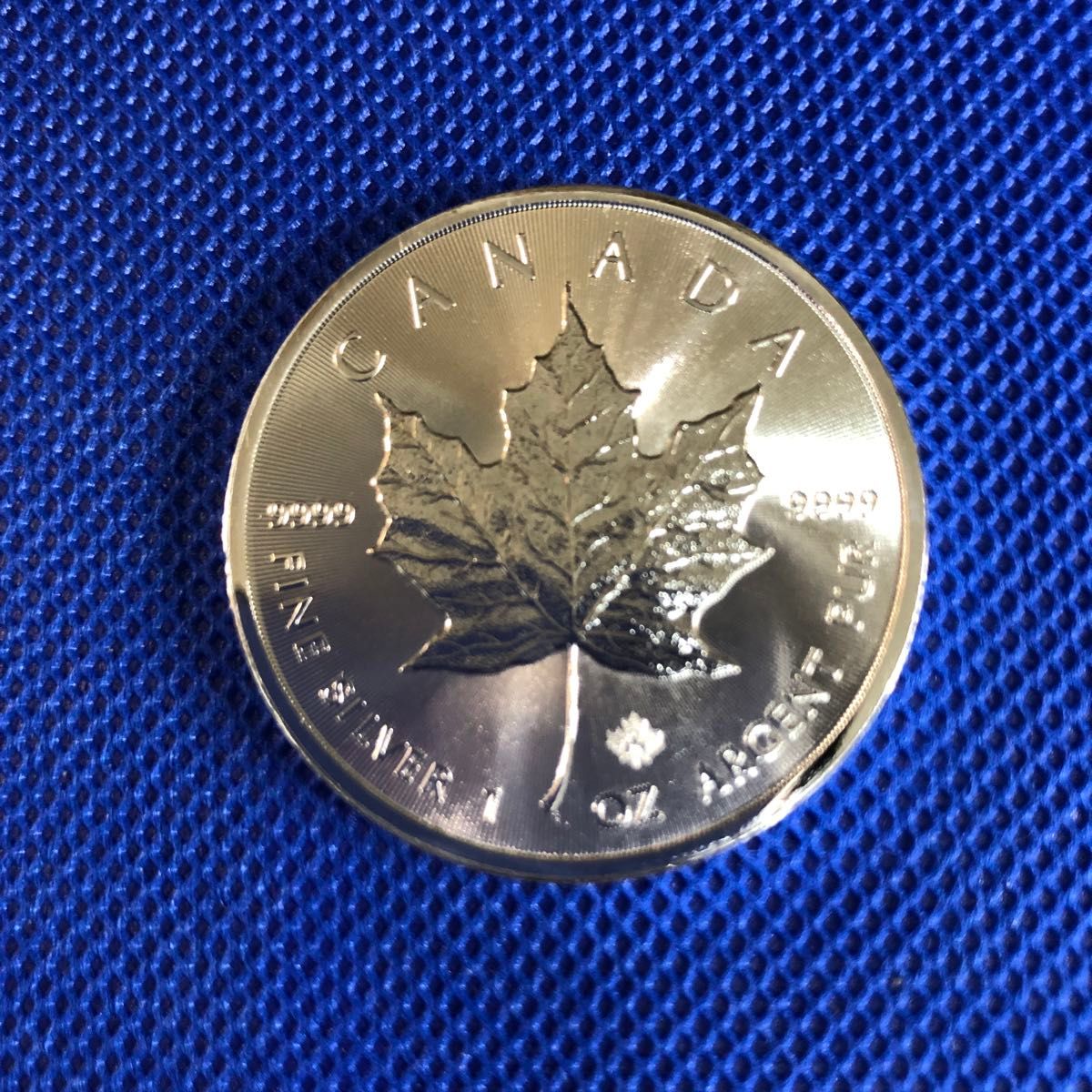 6枚 メイプルリーフ 銀貨 1オンス 2019年|エンタメ/ホビー 6枚 メイプルリーフ 銀貨 1オンス 2019年|エンタメ/ホビー