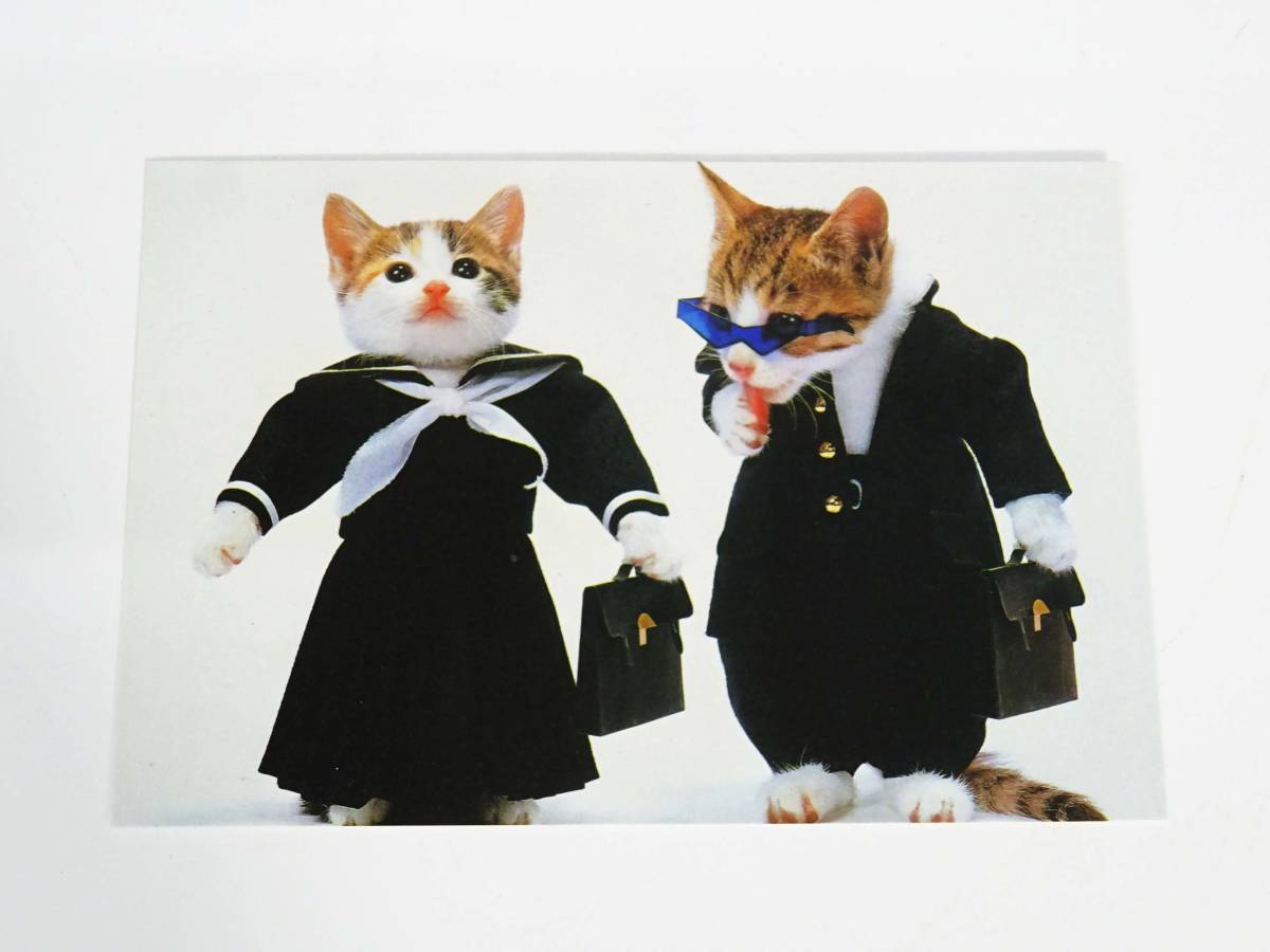 ◆(NS) なめ猫 ~なめんなよ~ 又吉 ハガキ ポストカード 3種類3枚入×20個 計60枚 セット まとめて 昭和レトロ キャラクター コレクション _画像9