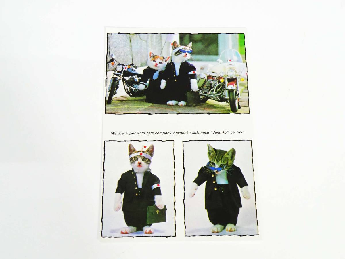 ◆(NS) なめ猫 ~なめんなよ~ 又吉 ハガキ ポストカード 3種類3枚入×20個 計60枚 セット まとめて 昭和レトロ キャラクター コレクション _画像10