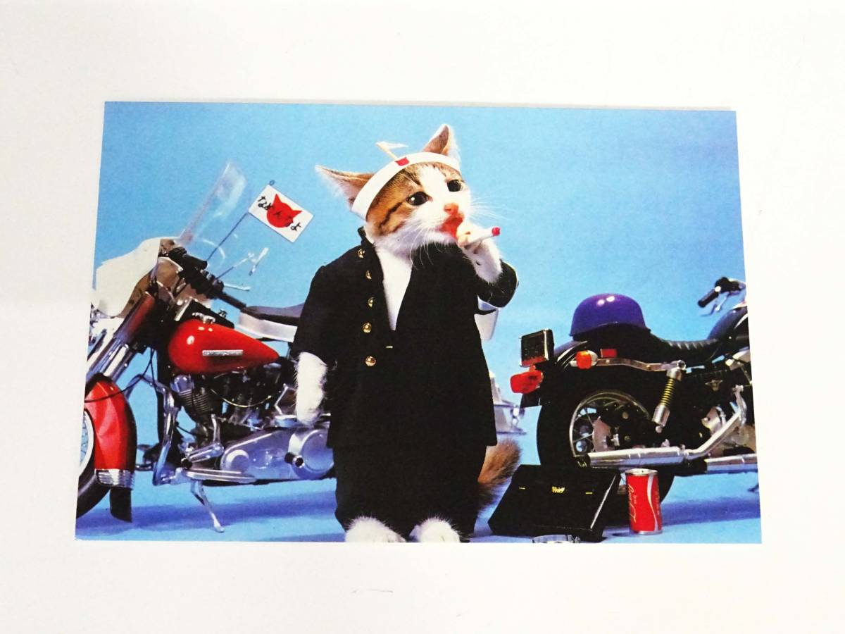 ◆(NS) なめ猫 ~なめんなよ~ 又吉 ハガキ ポストカード 3種類3枚入×20個 計60枚 セット まとめて 昭和レトロ キャラクター コレクション _画像5
