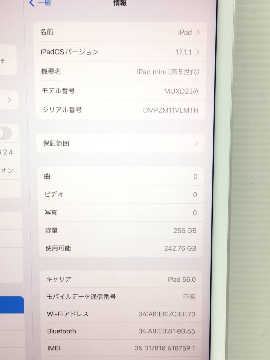 〇【良品】au iPad mini 第5世代 Wi-Fi+Cellularモデル 256GB A2124(MUXD2J/A) シルバー 〇判定 動作品_画像9