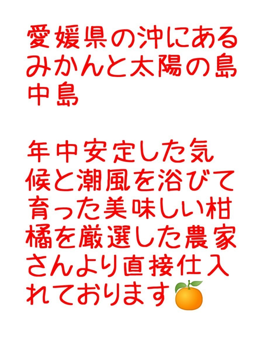 os愛媛県中島産いよかんおつとめ品箱込13㎏伊予柑産地直送④_画像4