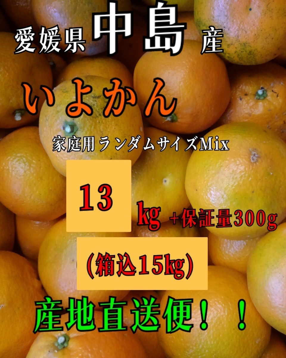 中島郵便局より発送！！愛媛県中島産いよかん家庭用ランダムサイズMix13㎏+保証量300g(箱込15㎏)伊予柑産地直送②_画像1