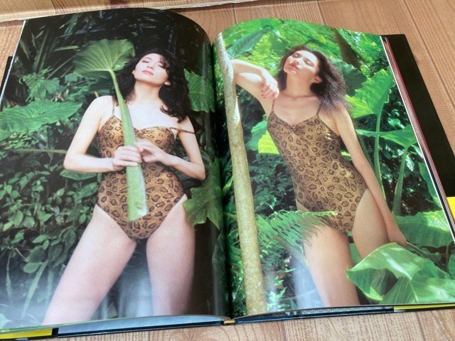 松坂慶子写真集【週刊プレイボーイ特別編集】 CIK430 の商品詳細 松坂慶子写真集【週刊プレイボーイ特別編集】 CIK430 の商品詳細