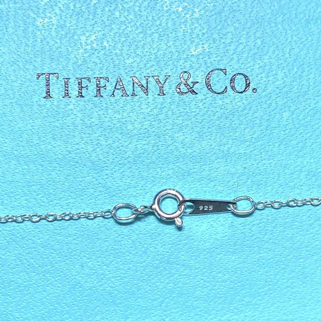 購入新商品 Tiffany スターオブダビデ ネックレス 925 美品 - アクセサリー