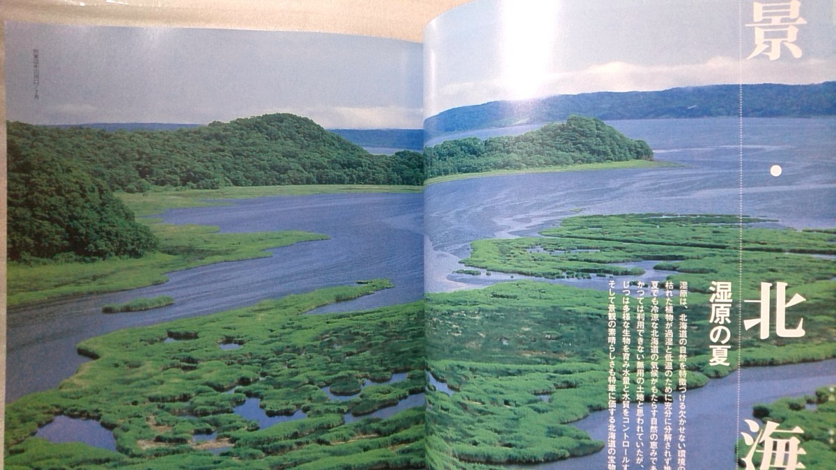 FAURA ファウラ 2004年 夏号★特集 シマアオジ 消えゆく草原のスター ★北海道の自然を知る★中古本【小型本】[626BO_画像3