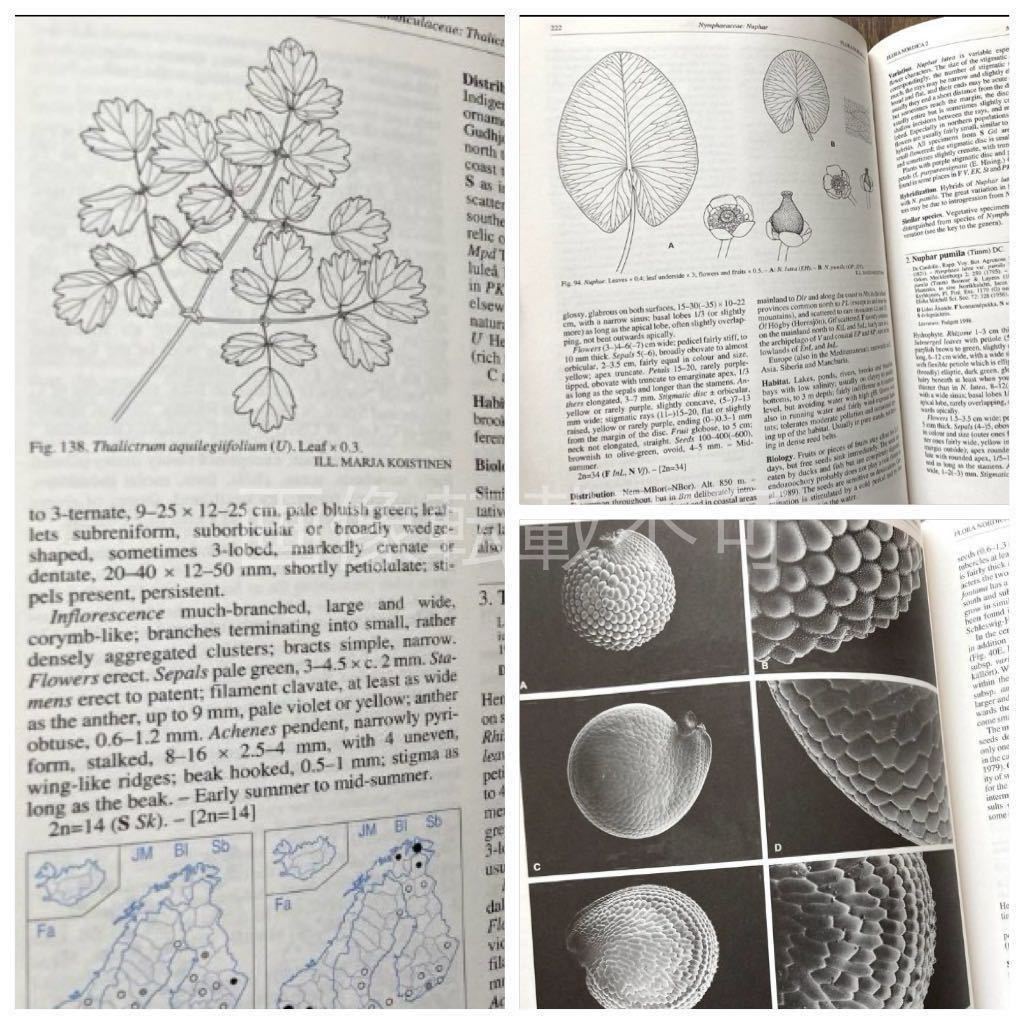 入手困難 北欧の植物事典2 図鑑 英語 洋書 希少本 Flora Nordica 2