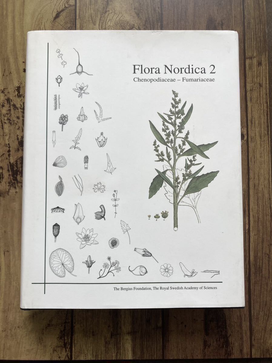 入手困難 北欧の植物事典2 図鑑 英語 洋書 希少本 Flora Nordica 2