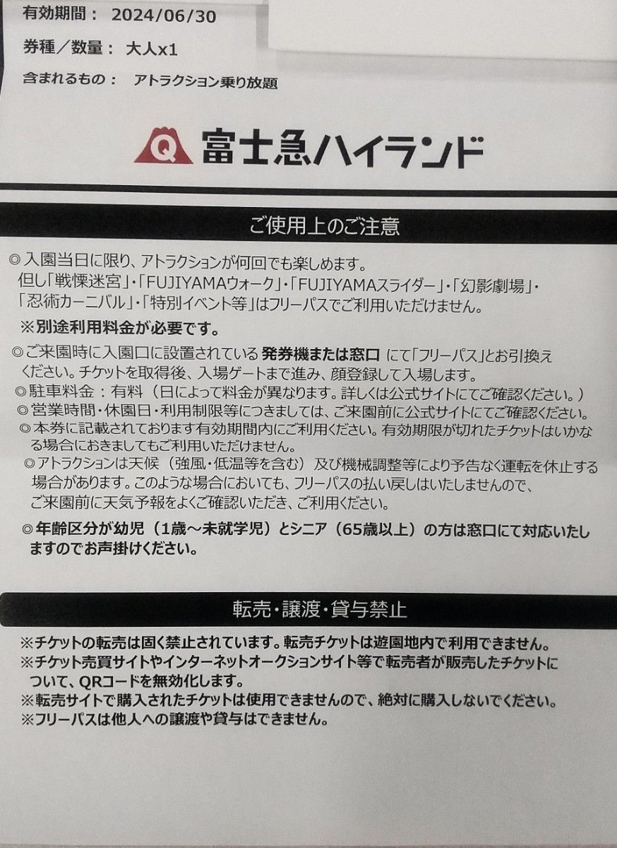 大人2枚13600円相当】富士急ハイランドフリーパス引換券2枚価格11/30迄 