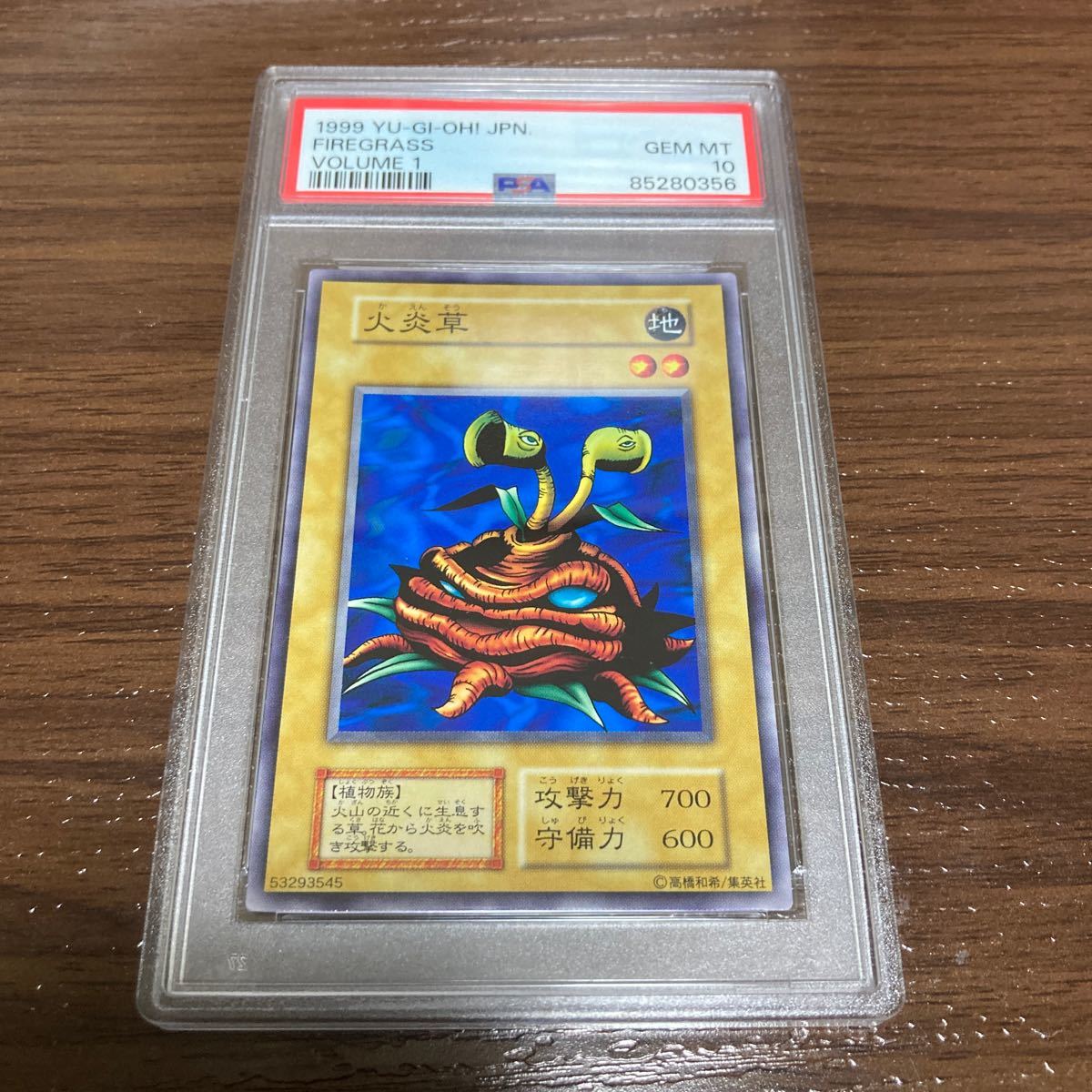 PSA10 遊戯王 火炎草　初期 ノーマル　Vol.1