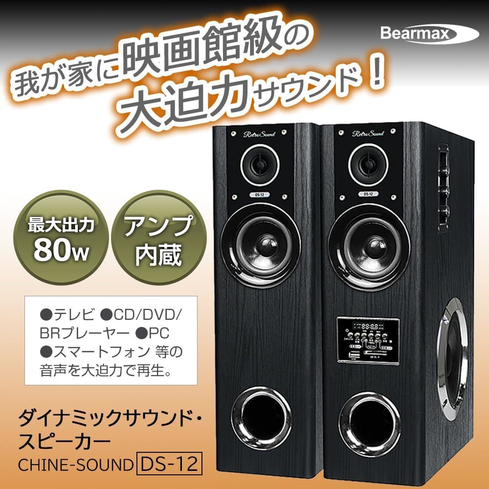 ダイナミックサウンドスピーカー DS-12 アンプ内蔵スピーカー 最大出力80W 大迫力サウンド 正規品 保証付