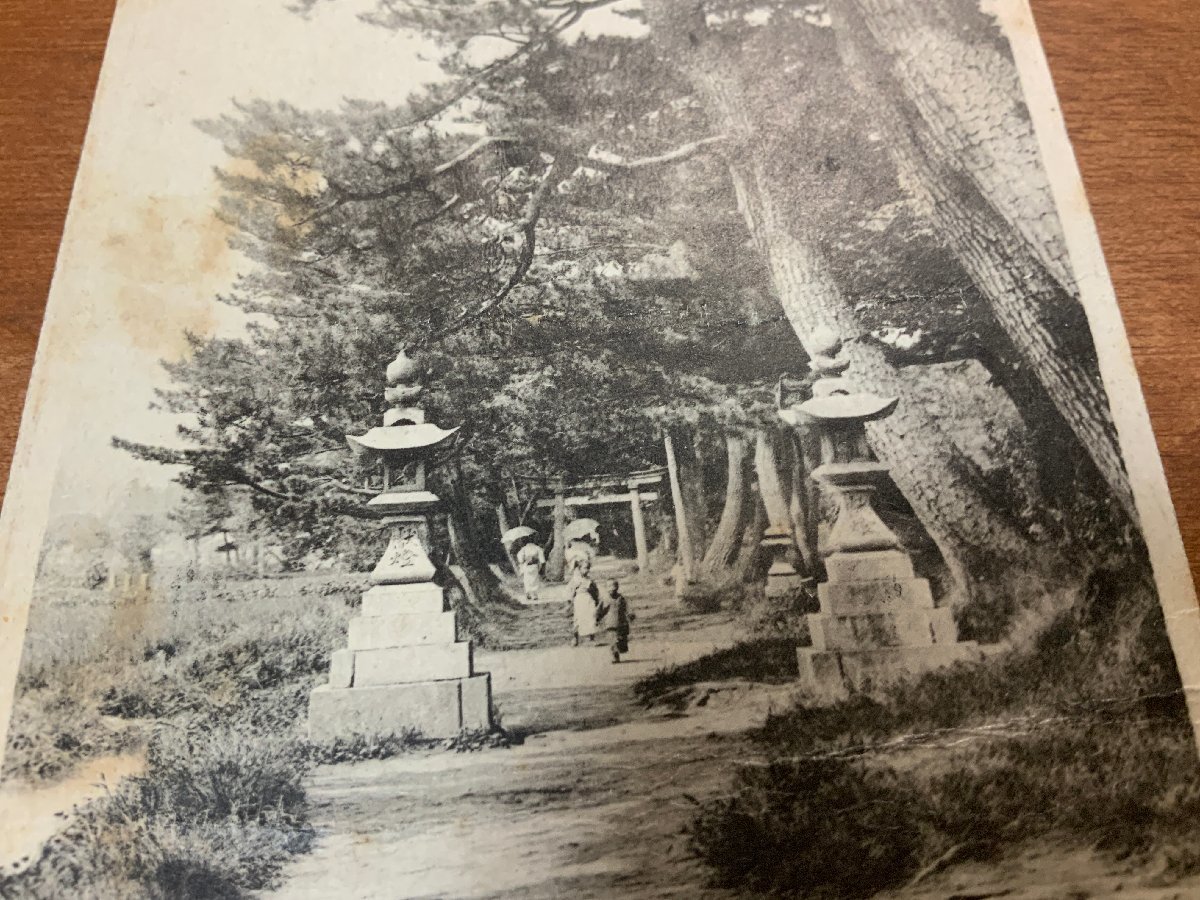 FF-8661 ■送料込■ 新潟県 直江津 府中八幡宮 少年 女性 鳥居 神社 寺 宗教 鳥居 風景 ●折れ シワ有 絵葉書 古葉書 写真 古写真/くNAら_画像3