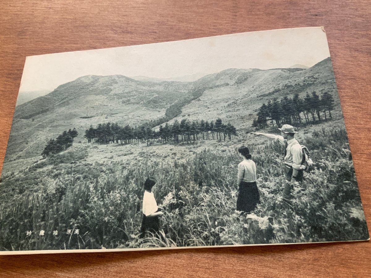 FF-9330 ■送料込■ 長野県 高原 地蔵峠 女性 人 少女 自然 風景 信州 信濃 山 登山 登山者 レトロ 絵葉書 古葉書 写真 古写真/くNAら_画像8