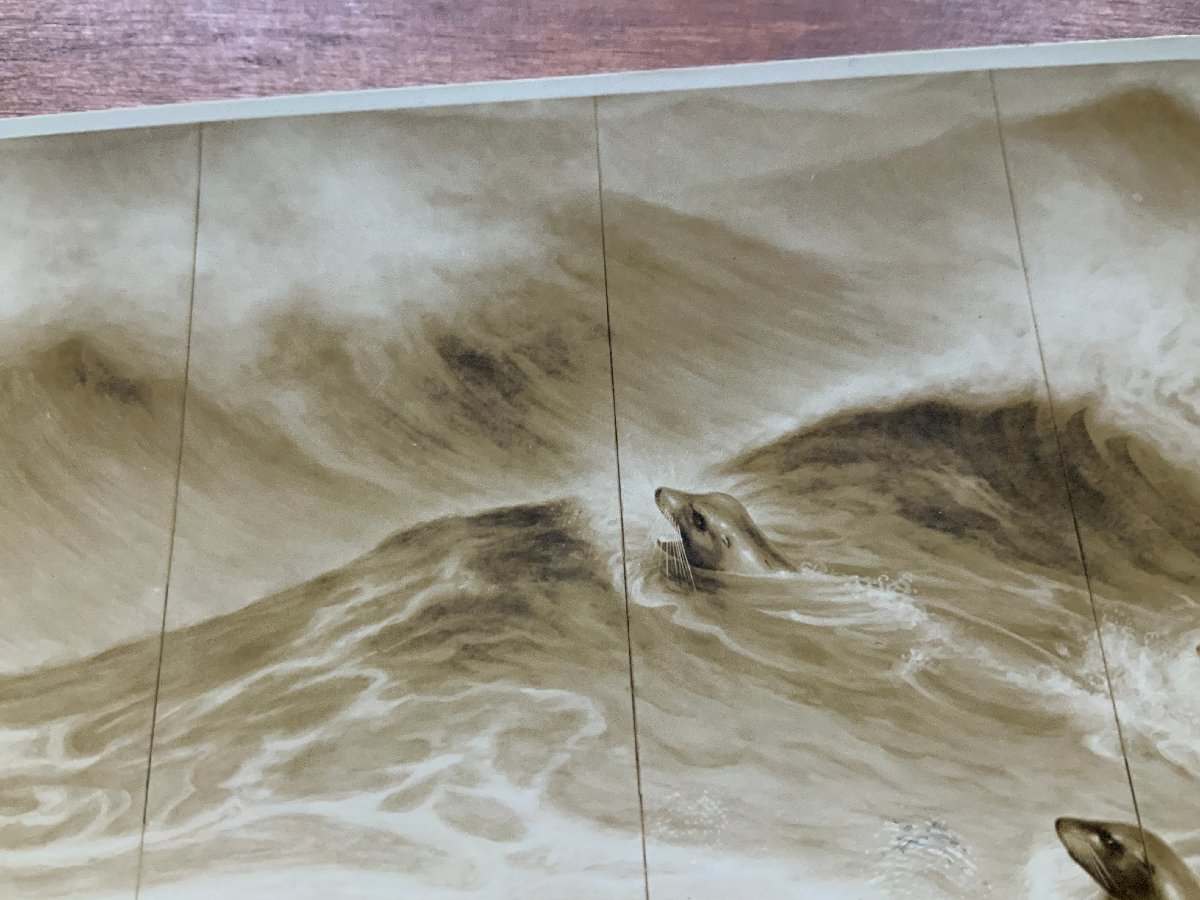 FF-9729 ■送料込■ アシカ 海驢 青木大乗筆 2枚 絵 絵画 美術品 アート 画 海 風景 波 パノラマ 作品 絵葉書 古葉書 写真 古写真 /くNAら_画像10