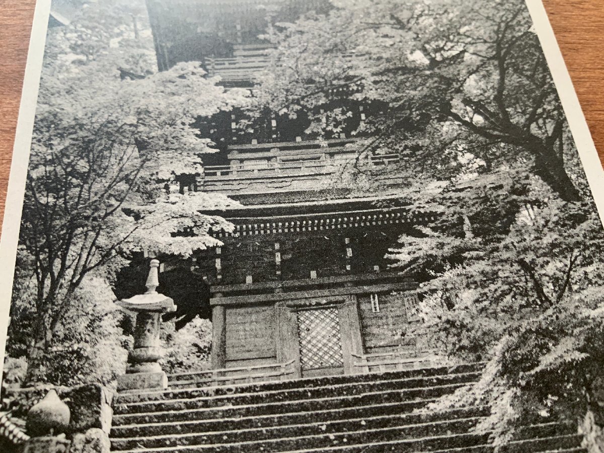 FF-9803 ■送料込■ 滋賀県 近江八幡市 近江国 長命寺 三重塔 桜 花 西国第31番 神社 寺 宗教 風景 絵葉書 古葉書 写真 古写真 /くNAら_画像4